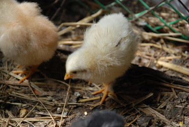 Similar image 22347674