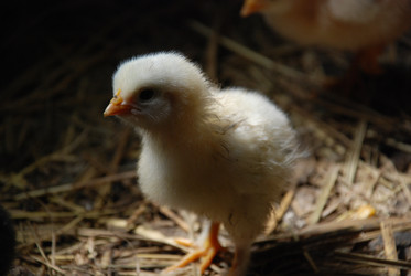 Similar image 22347677