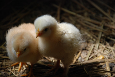 Similar image 22347679