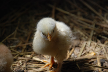 Similar image 22347681