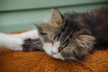 Similar image 22347682