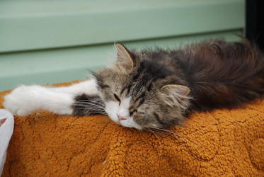 Similar image 22347683