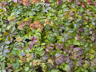 Similar image 22341946