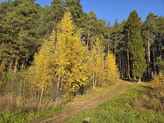 Similar image 22341947