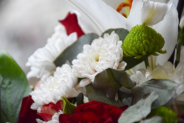 Similar image 22347515