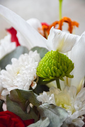 Similar image 22347516