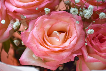 Similar image 22340369