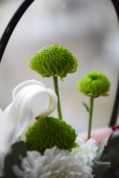 Similar image 22347517