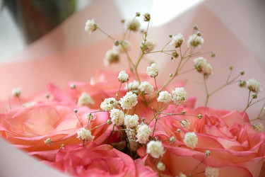 Similar image 22347518