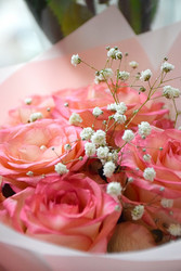 Similar image 22347519