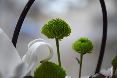 Similar image 22347520