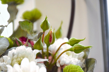 Similar image 22347521