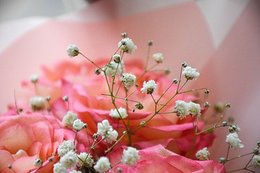 Similar image 22347522