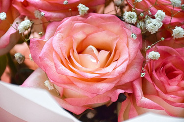 Similar image 22340371