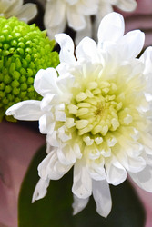 Similar image 22347523