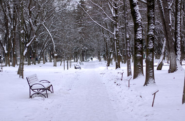 Similar image 22347482