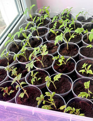 Similar image 22340377