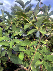 Similar image 22347487