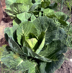 Similar image 22340379