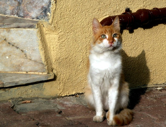 Similar image 22340383