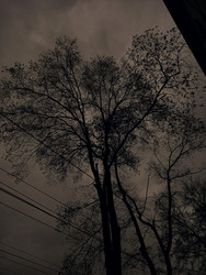 Similar image 22342065