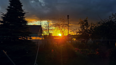 Similar image 22342069