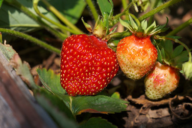 Similar image 22340386