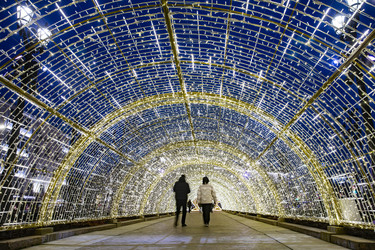 Similar image 22342161