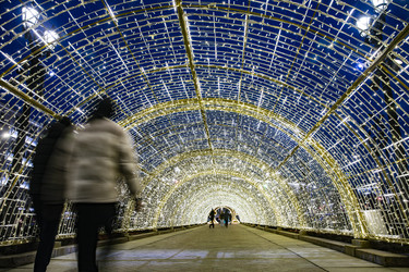 Similar image 22342162