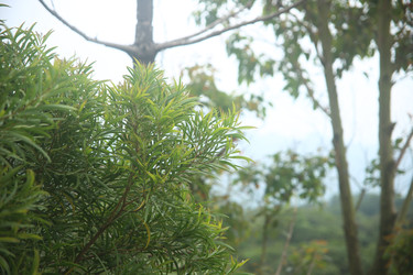 Similar image 22347317