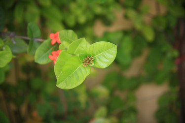 Similar image 22347319