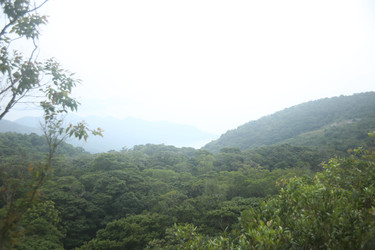 Similar image 22347532