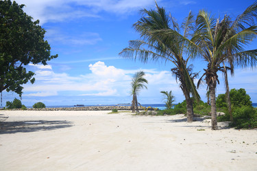 Similar image 22347533