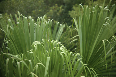 Similar image 22347536