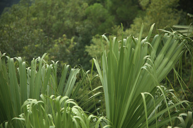 Similar image 22347537