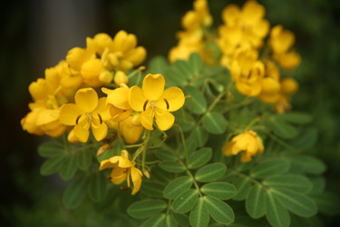 Similar image 22347538