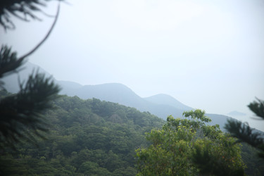 Similar image 22347544