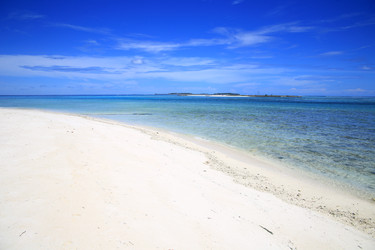 Similar image 22347545