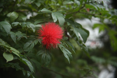 Similar image 22347548