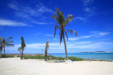 Similar image 22347550