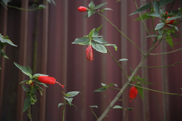 Similar image 22347551