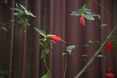 Similar image 22347552