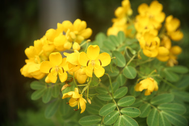 Similar image 22347553