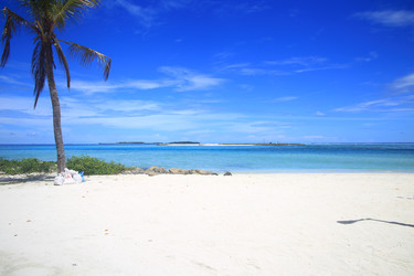 Similar image 22347554