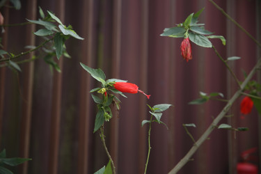 Similar image 22347555