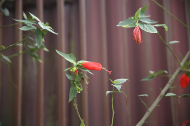 Similar image 22347556