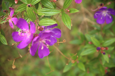 Similar image 22347557