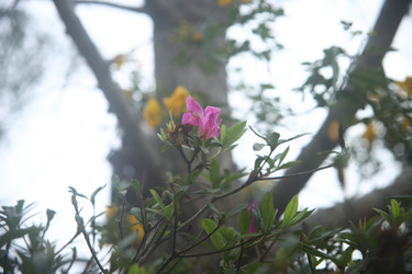 Similar image 22347559