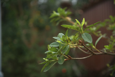 Similar image 22347560