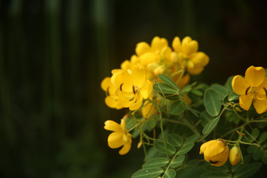 Similar image 22347561